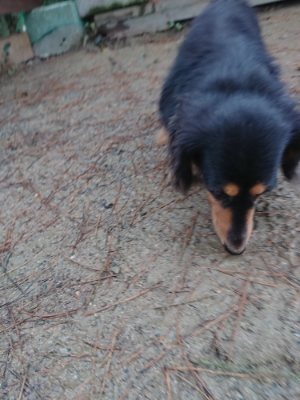 f:id:roukenhome-ann:20181215071715j:plain