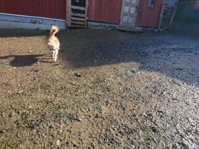 f:id:roukenhome-ann:20181215071720j:plain