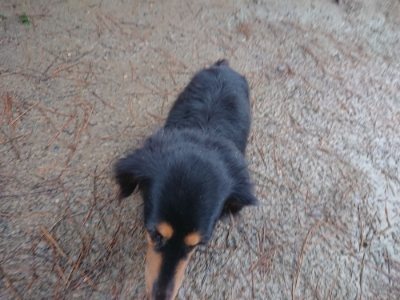 f:id:roukenhome-ann:20181215071802j:plain