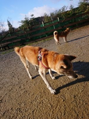 f:id:roukenhome-ann:20181215071949j:plain