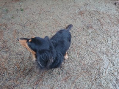 f:id:roukenhome-ann:20181215072008j:plain