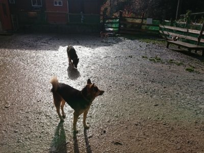 f:id:roukenhome-ann:20181215072111j:plain