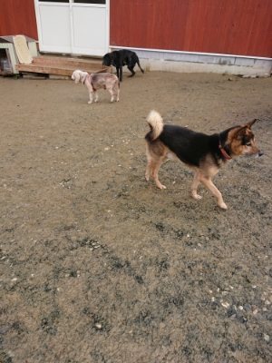 f:id:roukenhome-ann:20181216072043j:plain