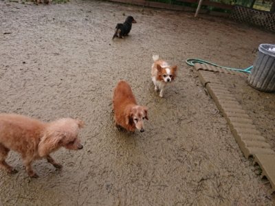 f:id:roukenhome-ann:20181216072057j:plain
