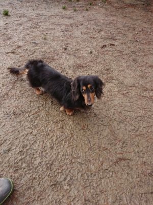 f:id:roukenhome-ann:20181216072518j:plain