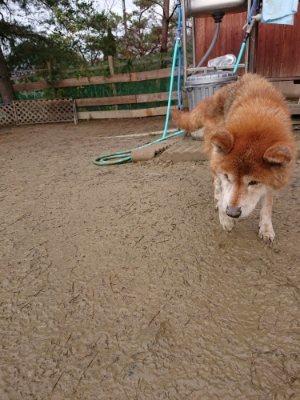 f:id:roukenhome-ann:20181216072614j:plain