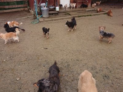 f:id:roukenhome-ann:20181216072700j:plain