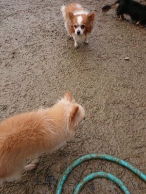 f:id:roukenhome-ann:20181216073007j:plain