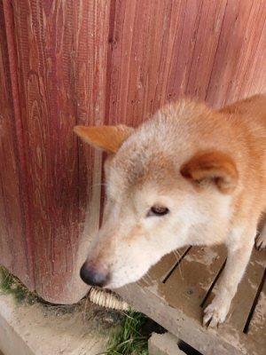 f:id:roukenhome-ann:20181216073150j:plain