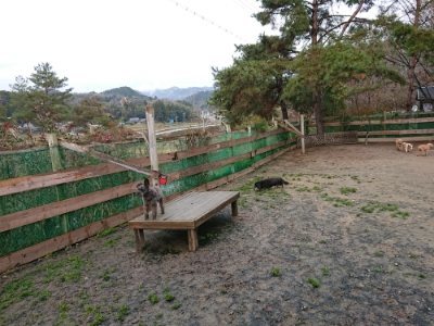 f:id:roukenhome-ann:20181216073538j:plain