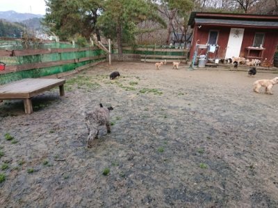 f:id:roukenhome-ann:20181216073601j:plain