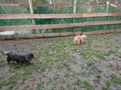 f:id:roukenhome-ann:20181216073606j:plain