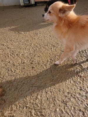 f:id:roukenhome-ann:20181216073626j:plain
