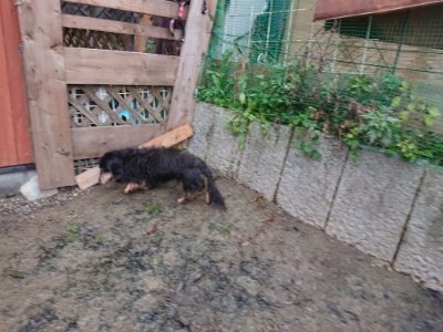 f:id:roukenhome-ann:20181216074130j:plain