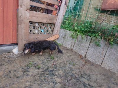 f:id:roukenhome-ann:20181216074134j:plain