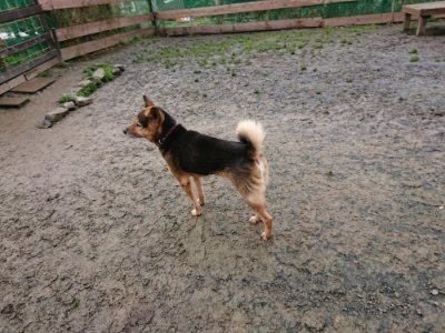 f:id:roukenhome-ann:20181216074209j:plain