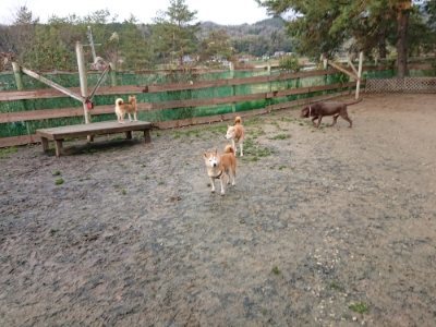 f:id:roukenhome-ann:20181216074213j:plain