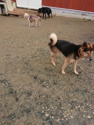 f:id:roukenhome-ann:20181216074338j:plain