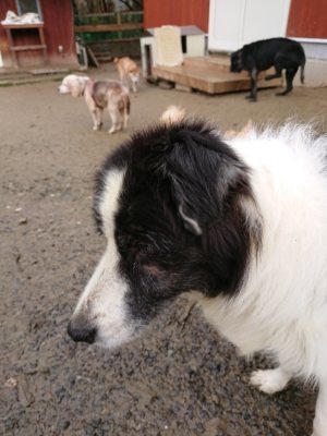 f:id:roukenhome-ann:20181216074346j:plain