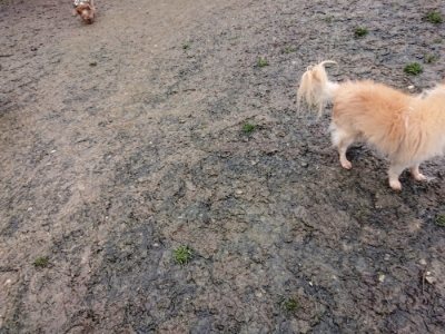 f:id:roukenhome-ann:20181216074443j:plain