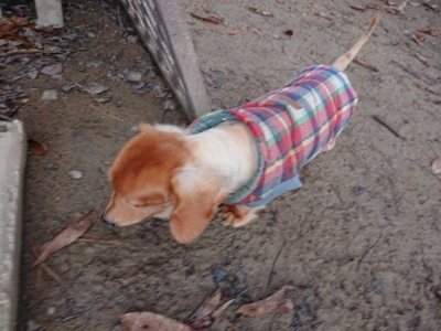 f:id:roukenhome-ann:20181216171929j:plain
