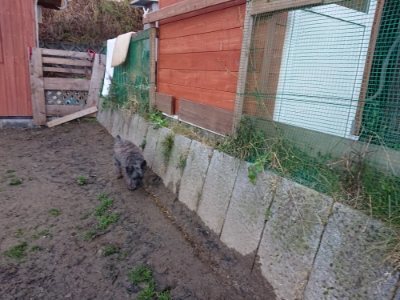 f:id:roukenhome-ann:20181216171959j:plain
