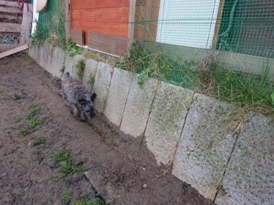 f:id:roukenhome-ann:20181216172034j:plain