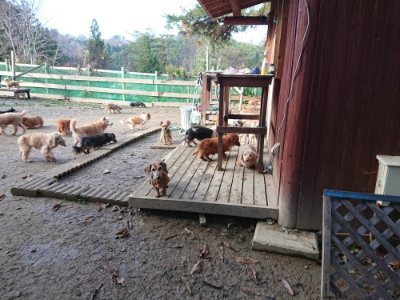 f:id:roukenhome-ann:20181216172050j:plain