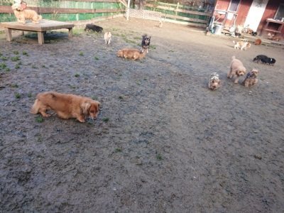 f:id:roukenhome-ann:20181216172216j:plain