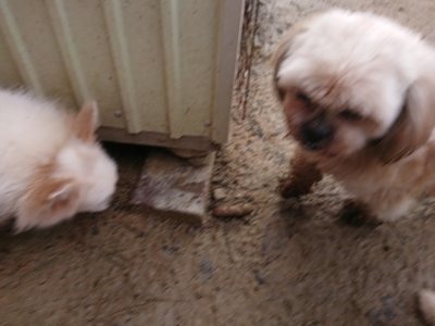 f:id:roukenhome-ann:20181216172231j:plain
