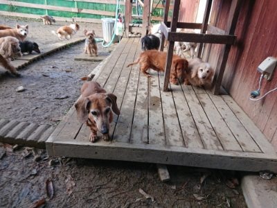 f:id:roukenhome-ann:20181216172241j:plain