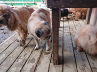 f:id:roukenhome-ann:20181216172429j:plain