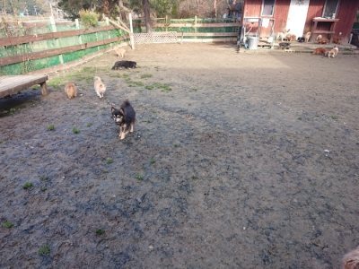 f:id:roukenhome-ann:20181216172440j:plain