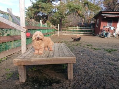f:id:roukenhome-ann:20181216172446j:plain