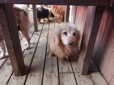 f:id:roukenhome-ann:20181216172538j:plain