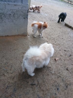 f:id:roukenhome-ann:20181216173345j:plain