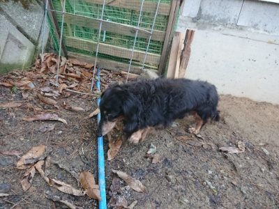 f:id:roukenhome-ann:20181216173405j:plain