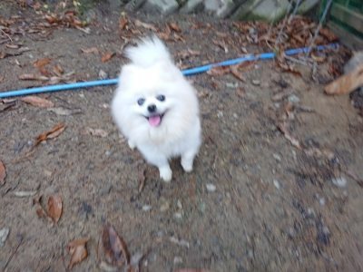 f:id:roukenhome-ann:20181216173530j:plain
