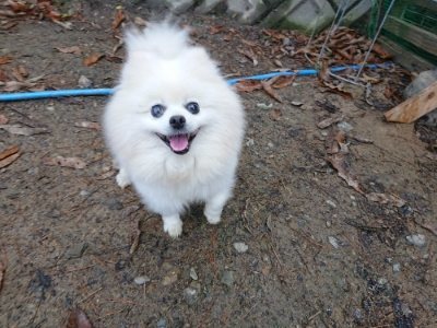 f:id:roukenhome-ann:20181216173535j:plain