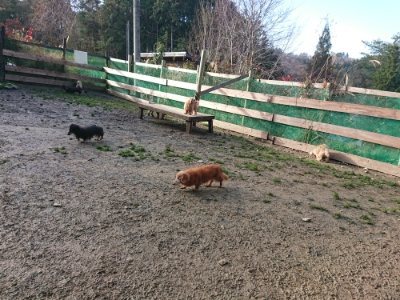 f:id:roukenhome-ann:20181216181007j:plain