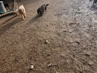 f:id:roukenhome-ann:20181216181018j:plain