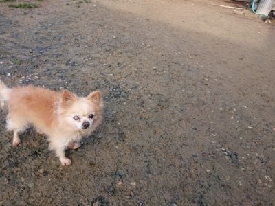 f:id:roukenhome-ann:20181216181047j:plain