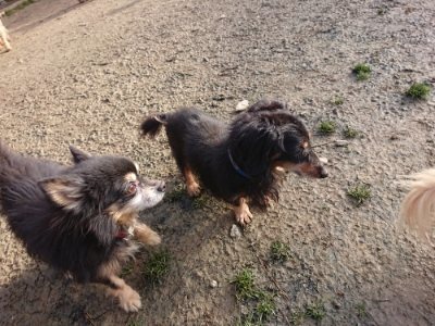 f:id:roukenhome-ann:20181216181053j:plain