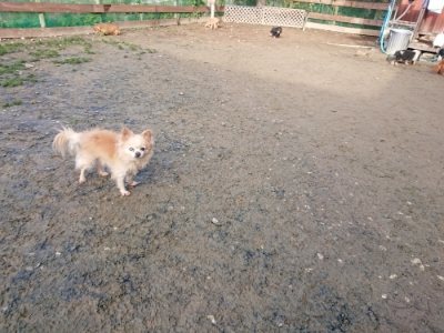 f:id:roukenhome-ann:20181216181109j:plain