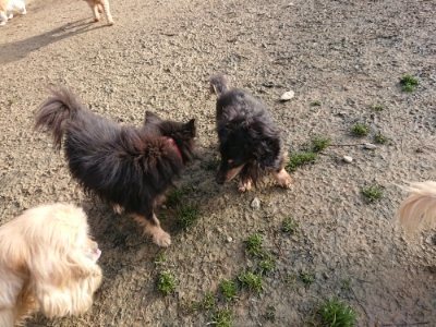 f:id:roukenhome-ann:20181216181119j:plain