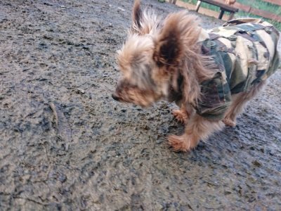 f:id:roukenhome-ann:20181216181145j:plain