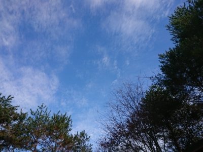 f:id:roukenhome-ann:20181216181308j:plain