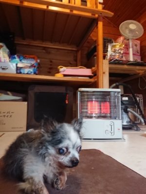 f:id:roukenhome-ann:20181217053430j:plain
