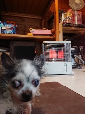 f:id:roukenhome-ann:20181217053434j:plain