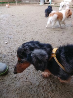 f:id:roukenhome-ann:20181217053523j:plain